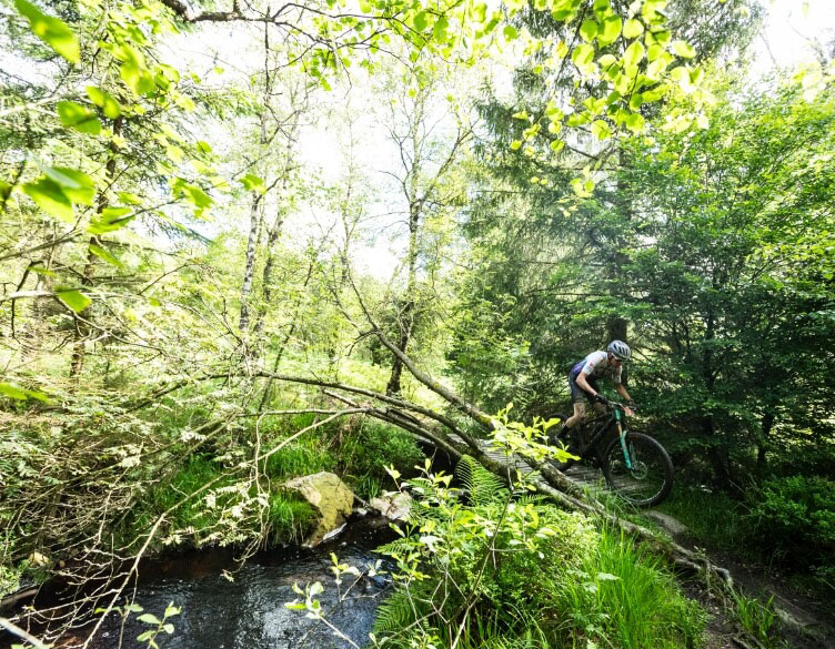 Trace open - Raid des Hautes Fagnes - photo 14