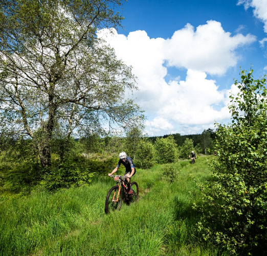 Trace open - Raid des Hautes Fagnes - photo 15