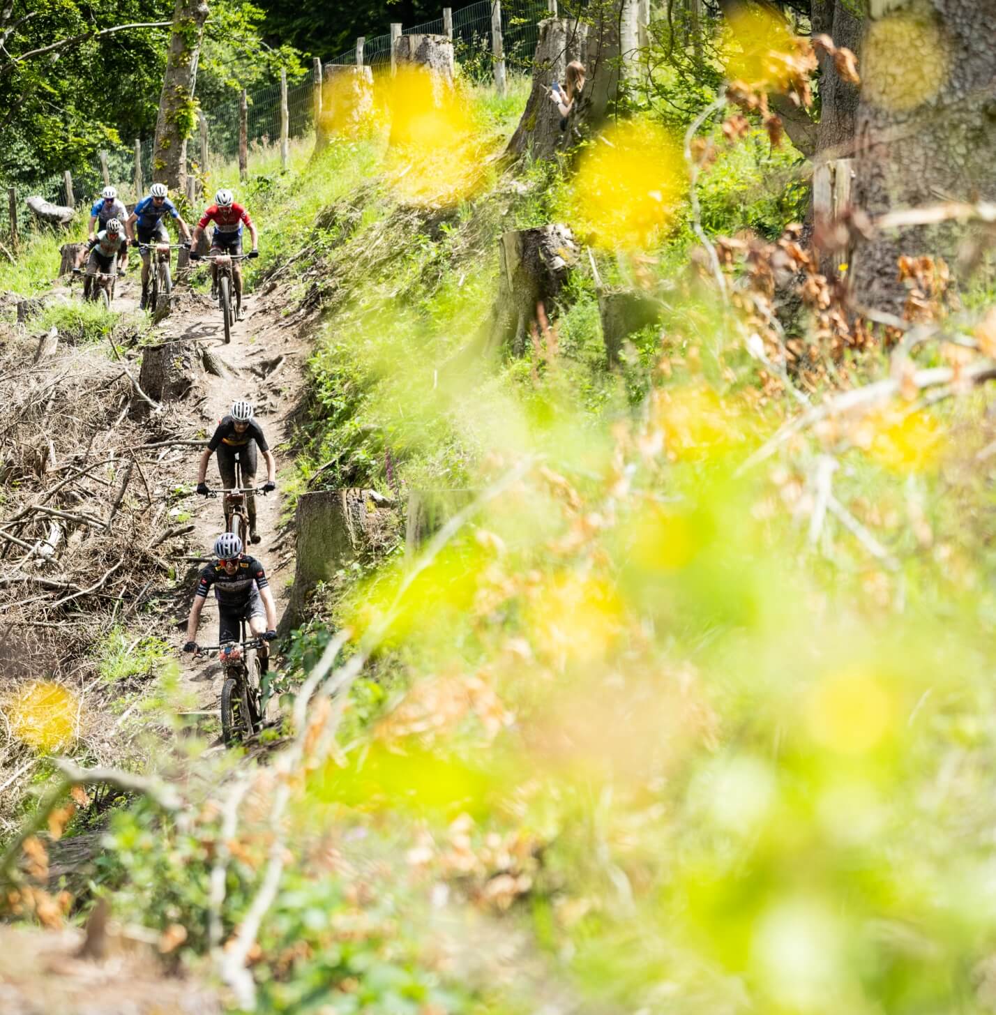 Le Raid Des Hautes Fagnes à Malmedy, relevez le défi du Marathon VTT, un véritable monument en Belgique - photo 36