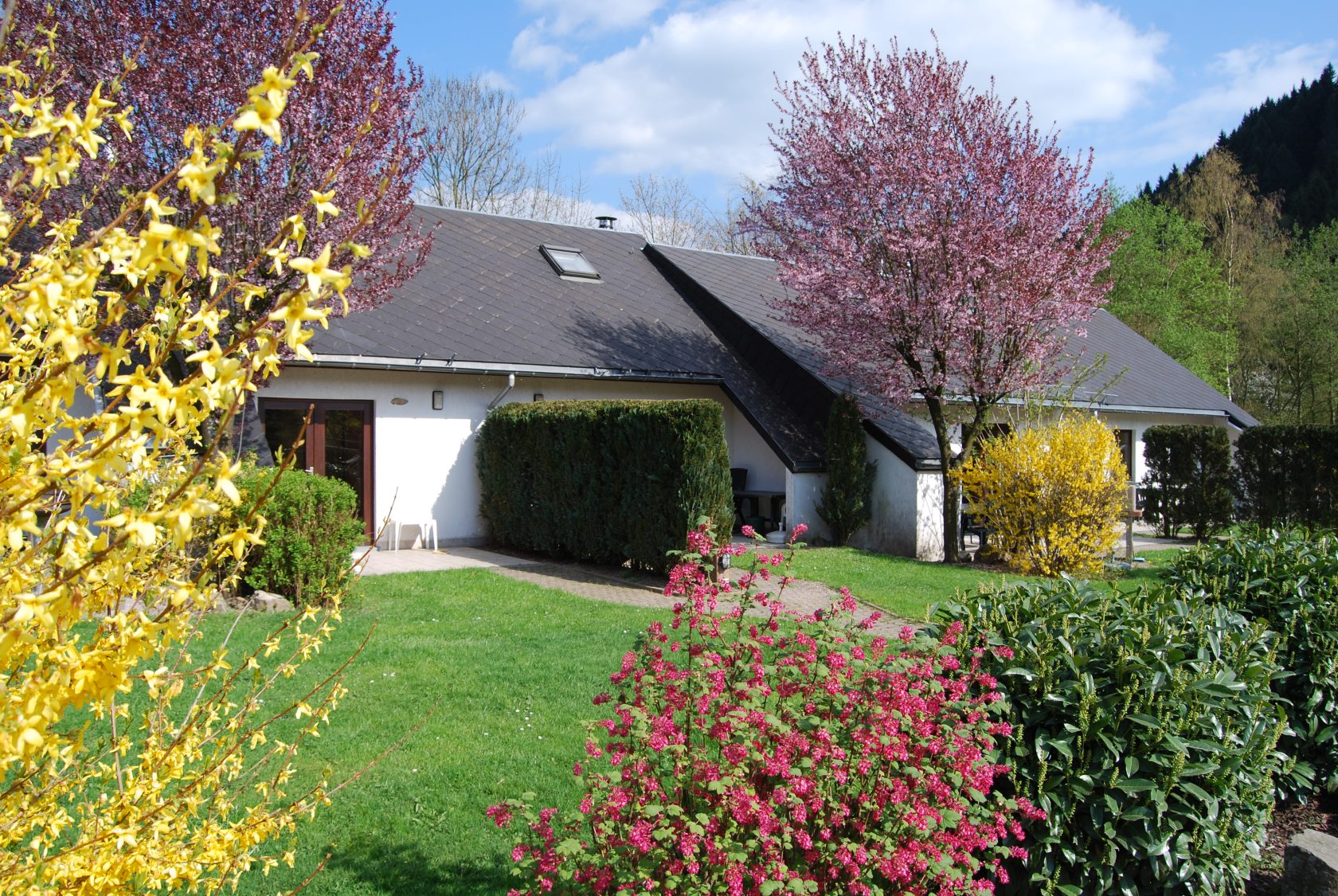 Récompenses - Raid des Hautes Fagnes - photo 14